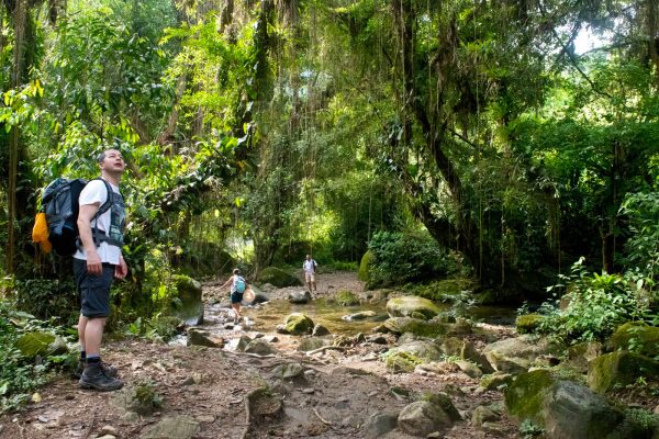 How To Trek Succeed The Amazing Lost City Colombia Magic Tour