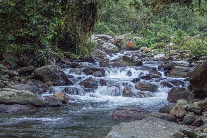 Naturaleza colombiana