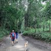 Eco tours en Minca Colombia