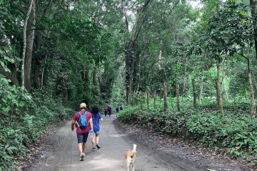 Eco tours in Minca Colombia