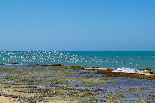 Punta Gallinas - Guajira | Magic Tour Colombia