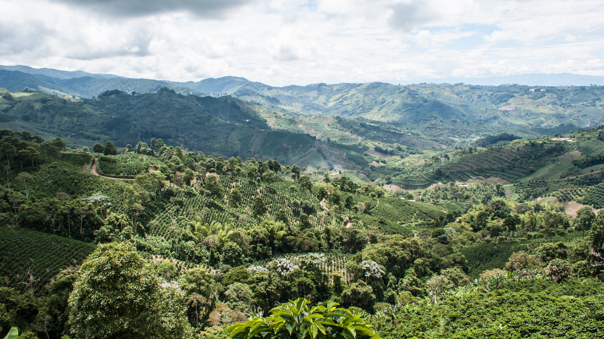 viajando por colombia