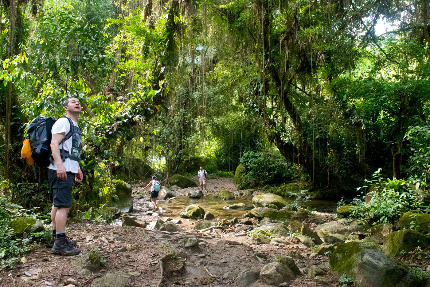 Lost City Colombia 12