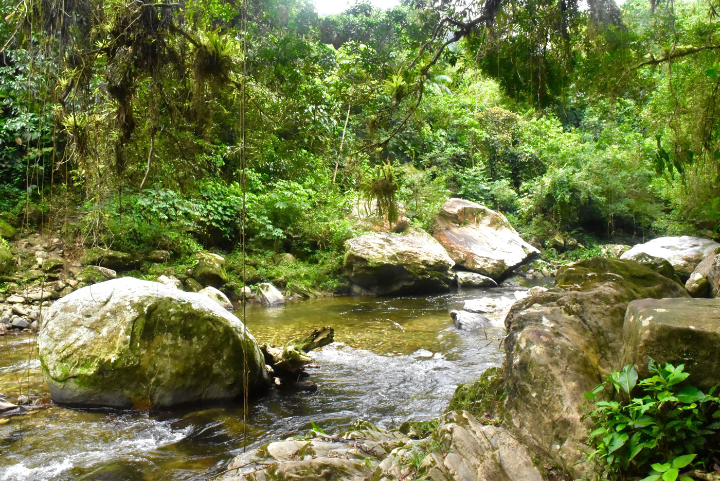 Lost City Colombia 17