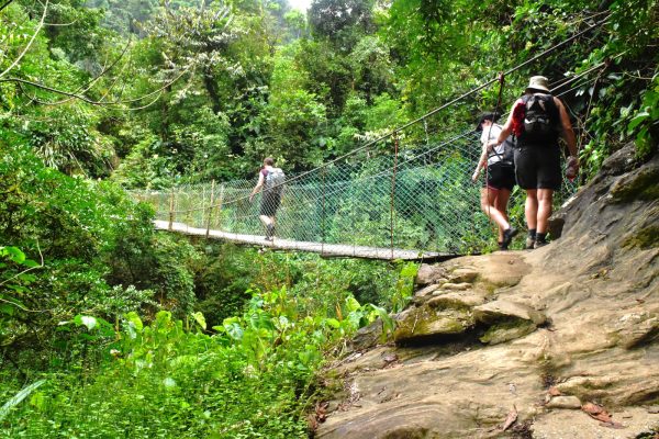 How to Trek & Succeed the Amazing Lost City Colombia | Magic Tour