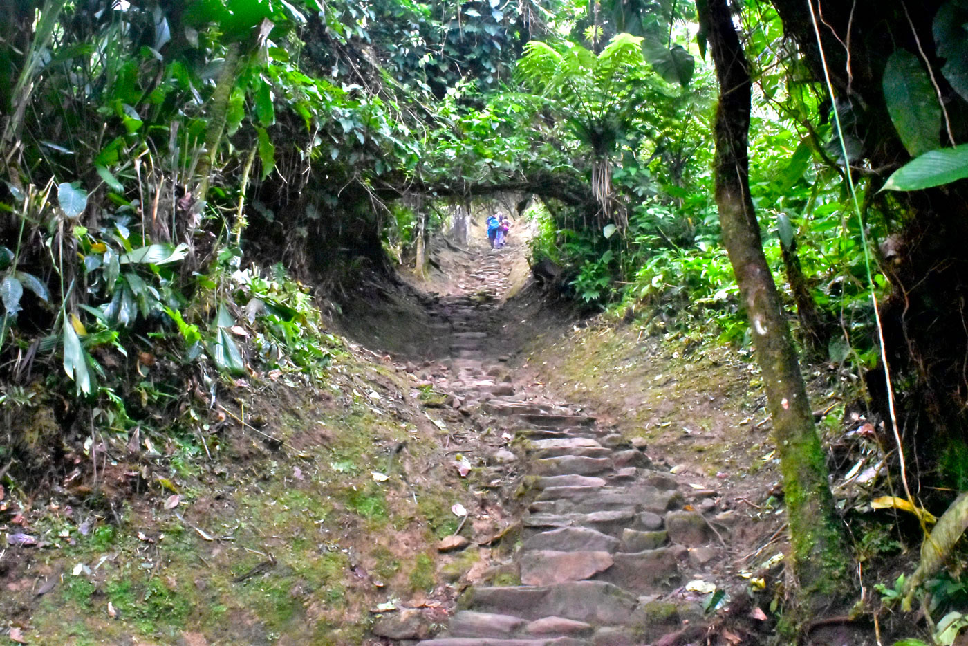 Lost City Colombia 23