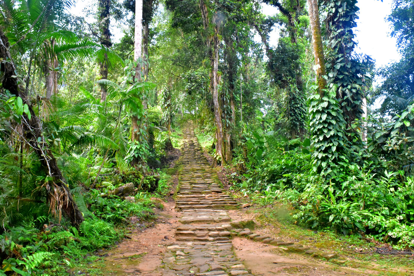 Lost City Colombia 28