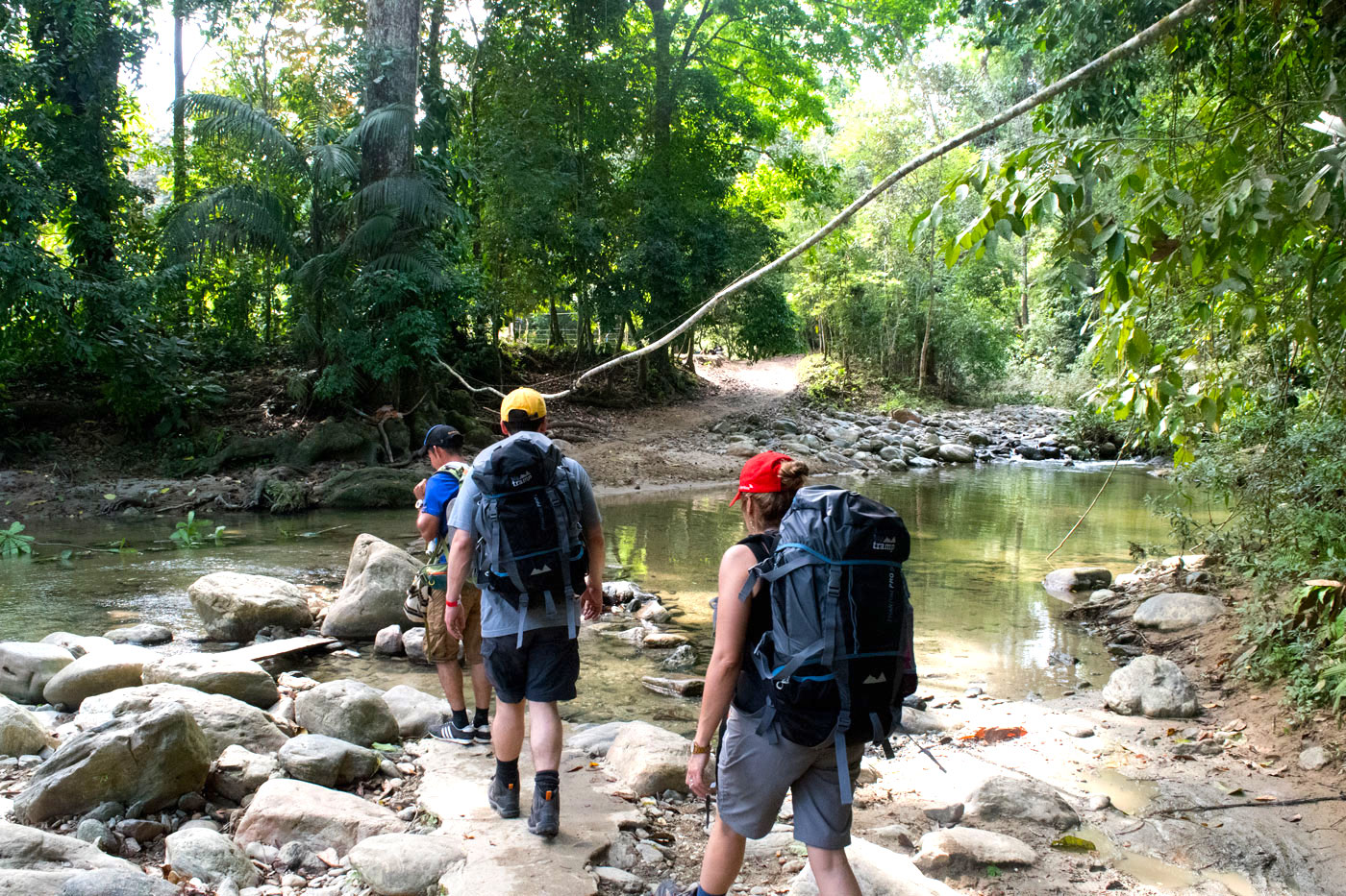 Lost City Colombia 3