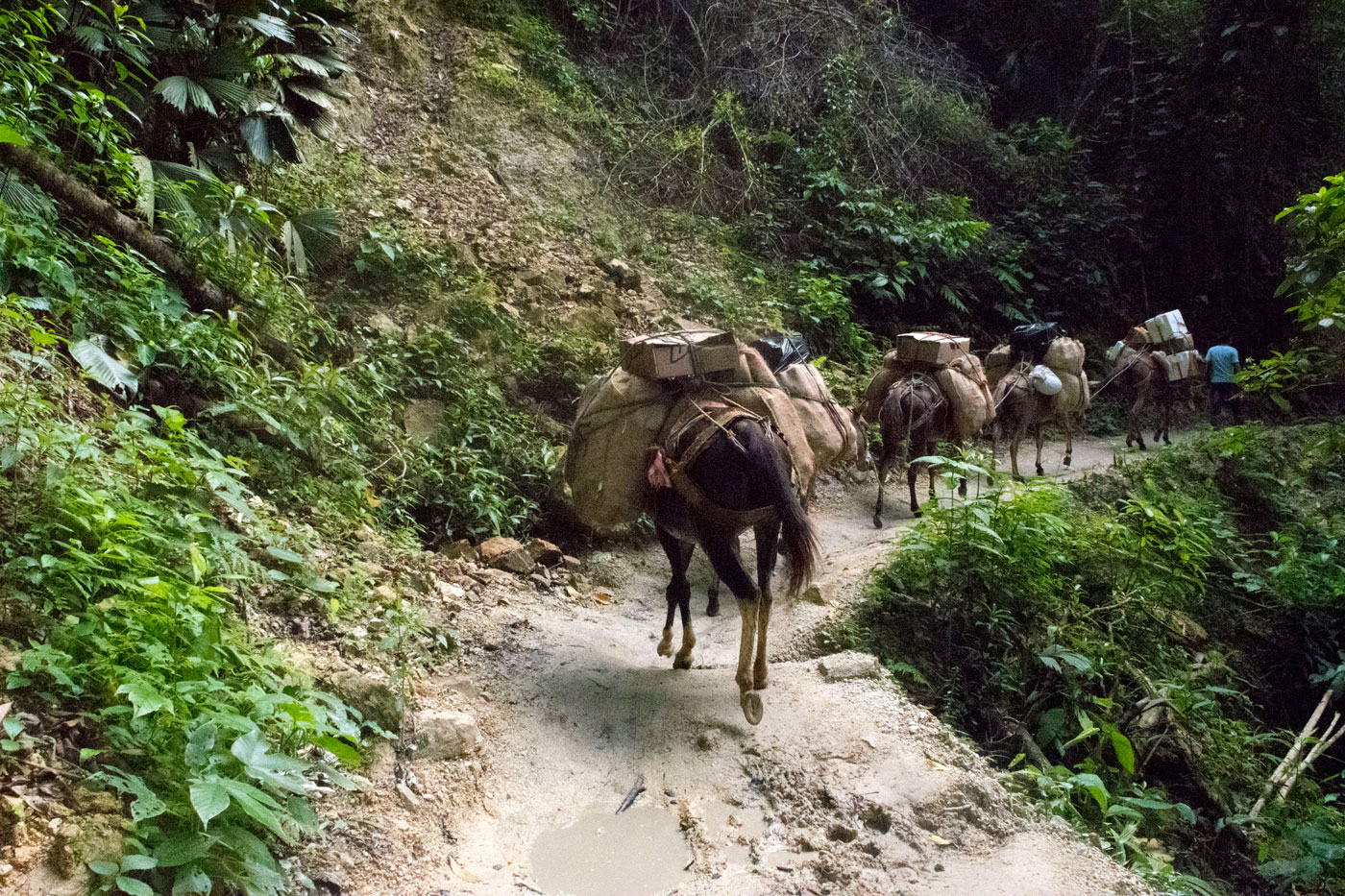 Lost City Colombia 4