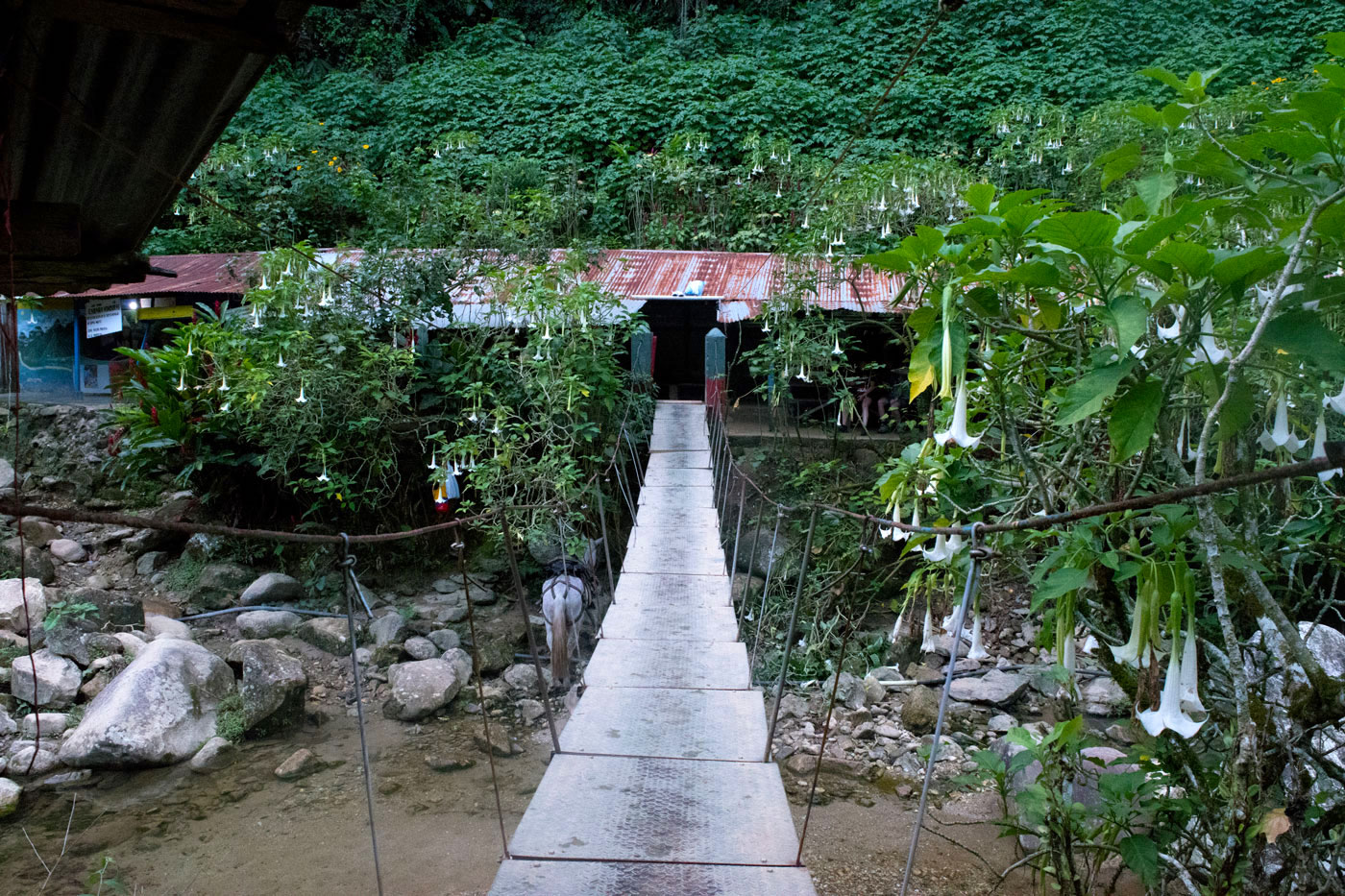 Lost City Colombia 5