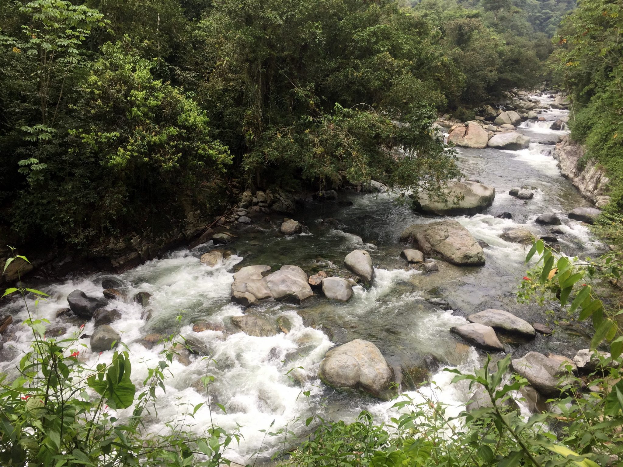 lost city colombia