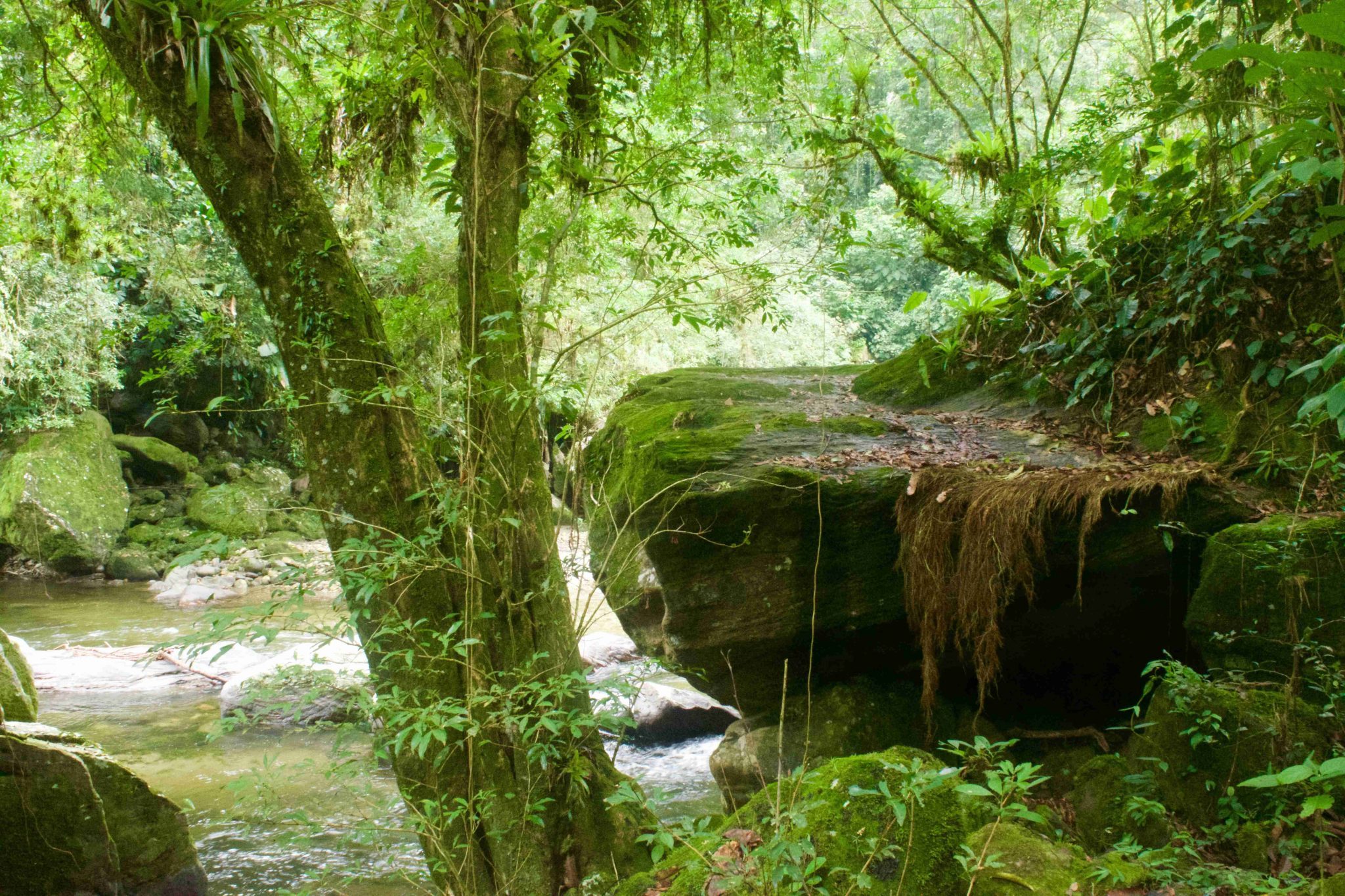 Como subir Ciudad Perdida en Colombia y no morir en el intento