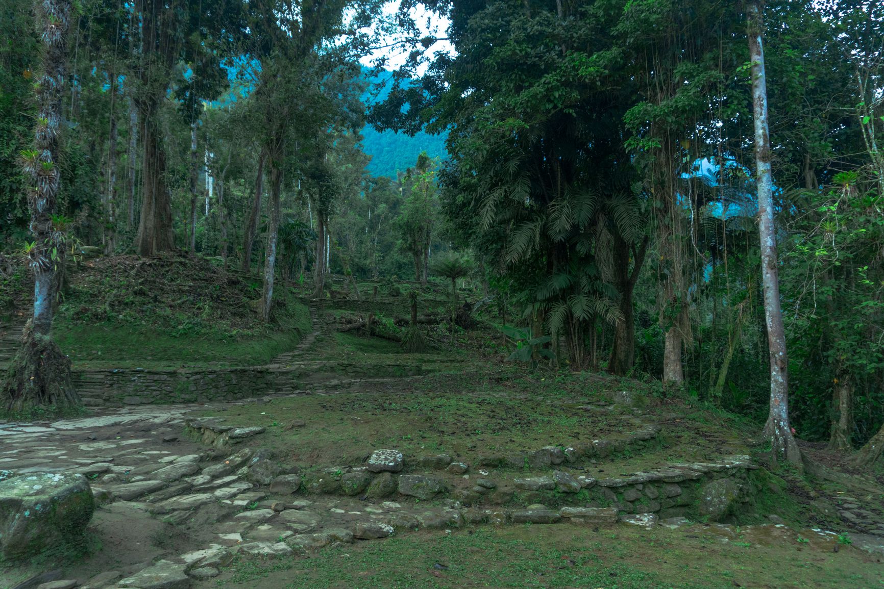 Lost city colombia- magic tour colombia