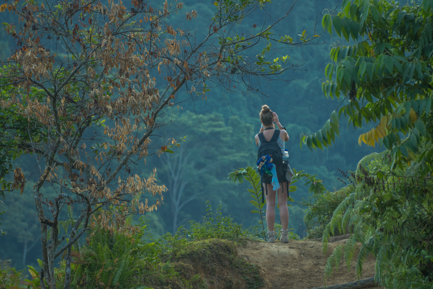 colombia lost city