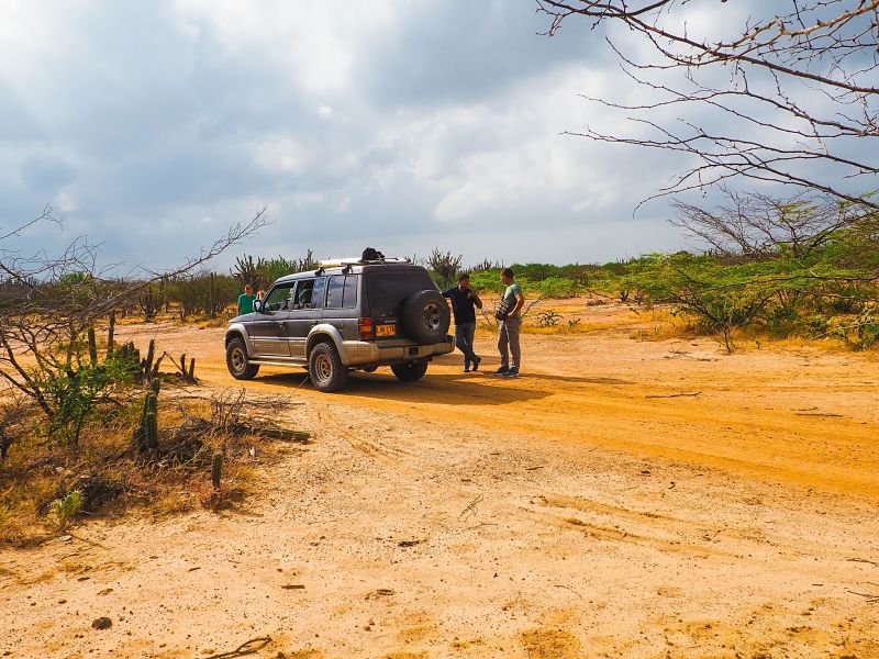 Guajira