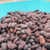 Tour del cacao granos