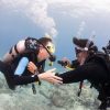 Try Dive | Magic Tour Colombia
