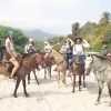 Horseback Ride to Los Naranjos Beach