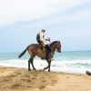 Tour de Cabalgata en Playa los Naranjos | Magic Tour Colombia