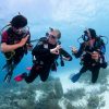 Buceo Recreativo en Colombia