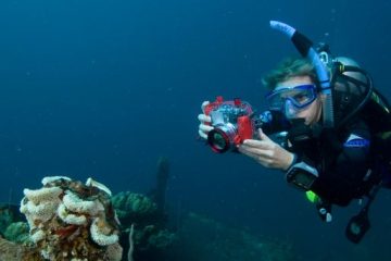 Tour de Buceo Divertido