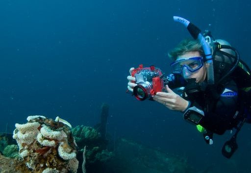 Fun Dive in Colombia