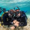 Recreational Diving Tour