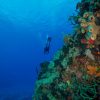 Diving in Santa Marta