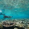 Tours de Snorkeling en Tayrona