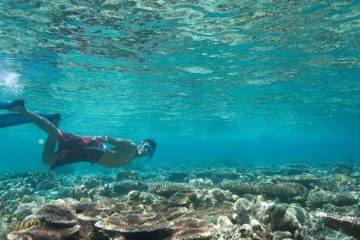 Tours de Snorkeling en Tayrona