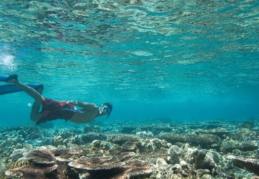 Tours de Snorkeling en Tayrona